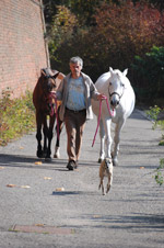 Walk with my animal friends