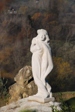 Virgin Mary