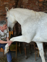 Realizace modelu pomníku
			bitvy u Střezetic, jaro 2012