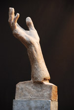 Study of the hand, 