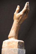 Study of the  hand, 