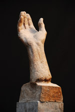 Study of the  hand, 