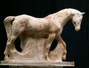 Studie kroku