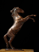 Study of Prancing Horse