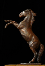 Study of Prancing Horse