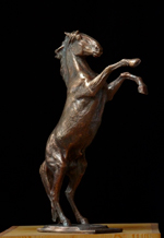 Study of Prancing Horse