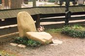 Emil Zátopek’s Tombstone